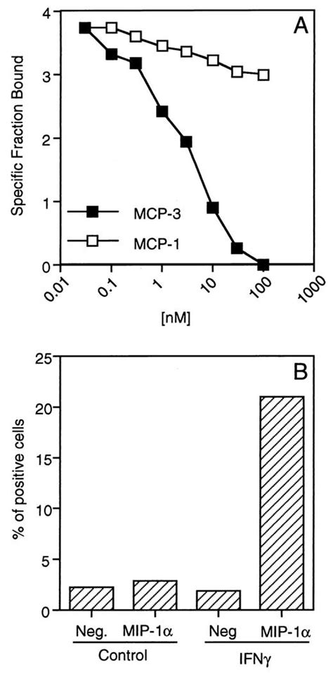 Up Regulation Of Ccr1 And Ccr3 And Induction Of Chemotaxis To Cc