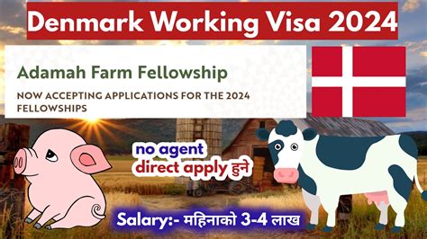 Denmark Working Visa From Nepal Denmark Work Visa For Nepali