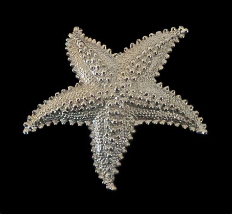 Monet Starfish Silver Tone Brooch Star Fish Pin Beach Wear Etsy