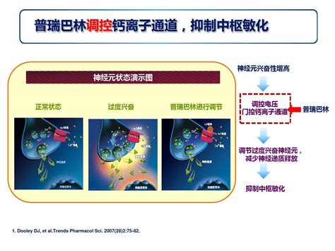 神经病理性疼痛诊疗专家共识解读幻灯 20140226word文档在线阅读与下载无忧文档