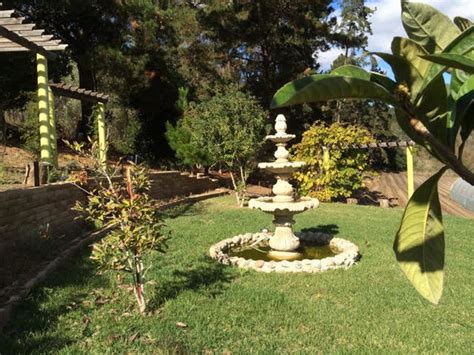 Everlasting Garden Specialty Herbs And Vegetables