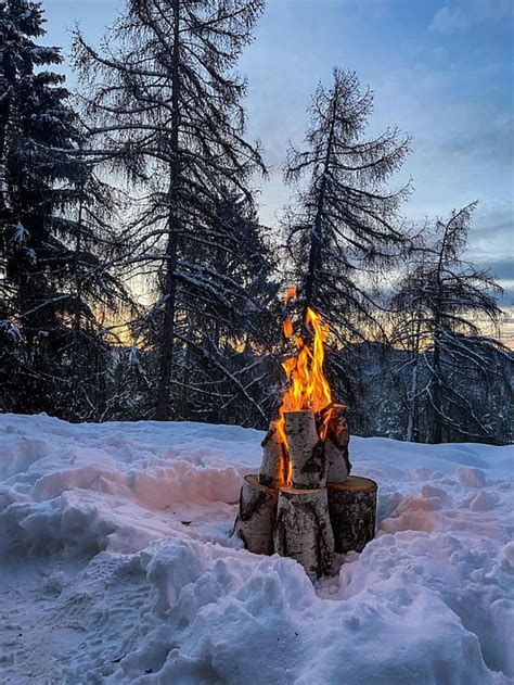 Brann snø bål vinter natur skog landskap tre varme grillplass