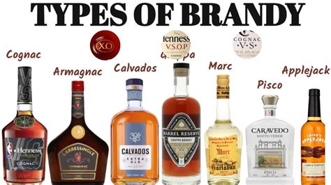 Different Types Of Brandy I Cognac I Armagnac I Calvados I Pisco I