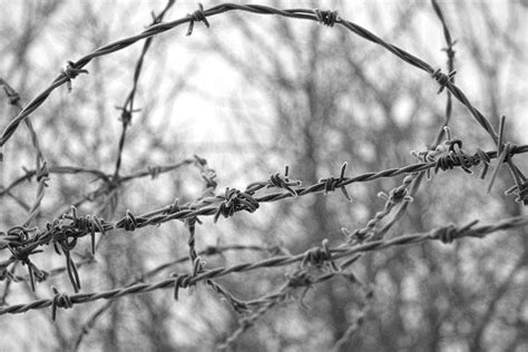 barbed  mrholidaymaker  deviantart