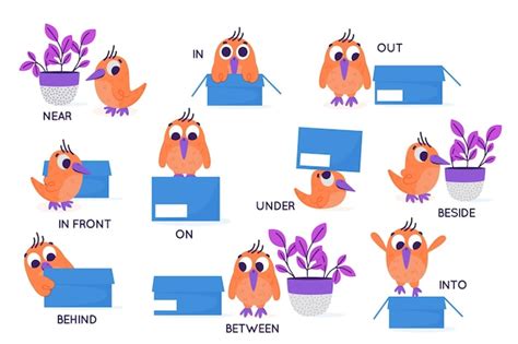 Premium Vector English Prepositions Set With Bird