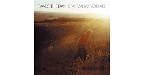 Saves The Day Stay What You Are (10-inch) Vinyl Record