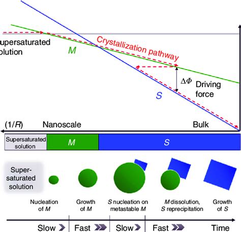 Schematic Representation Of Remnant Metastability In A Crystallization