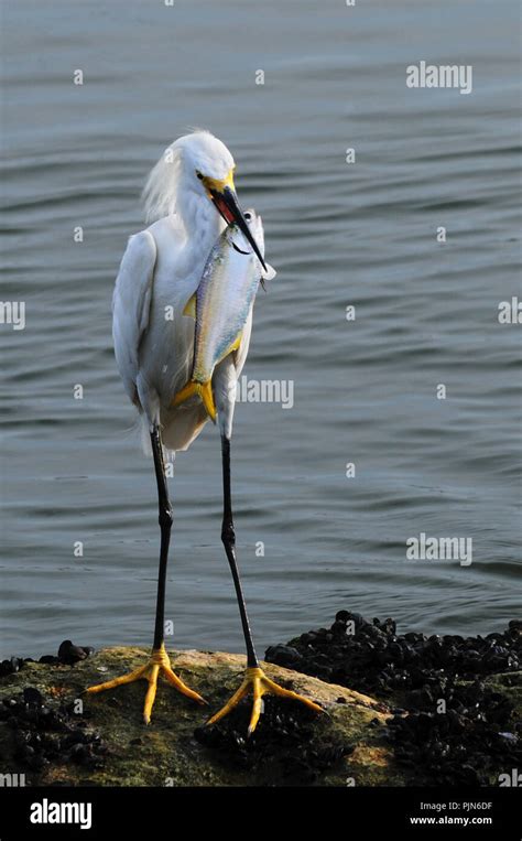 Time To Eat Stock Photo Alamy