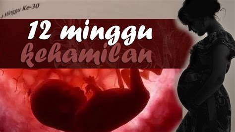 Usia Kehamilan 12 Minggu Hamil 3 Bulan Usg Pertama Ukuran Perut