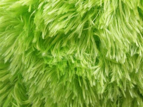 Fuzzy Green Background stock image. Image of fluffy, textures - 50838397