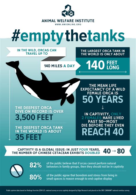 Awesome Facts About Animals In Captivity