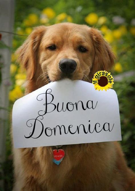 Pin Di Giusy Di Pasquale Su Buon Giorno Domenica Buona Domenica Domenica