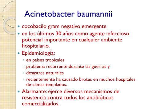 Ppt Pseudomonas Spp Y Bacilos No Fermentadores Powerpoint