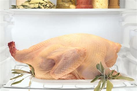 How To Thaw A Thanksgiving Turkey Maughanster Appliance Service