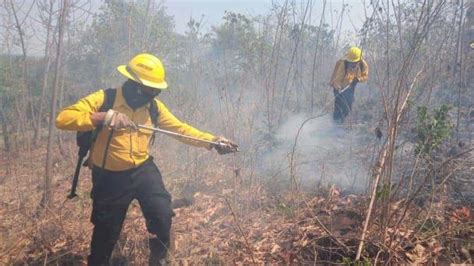 Reportan 4 Incendios Activos Este Martes En Veracruz