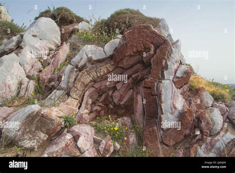 Folded Limestone Formation Hi Res Stock Photography And Images Alamy