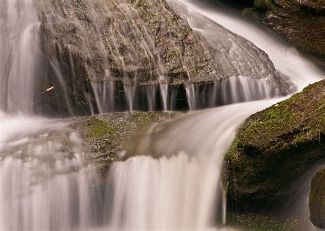 Forest River Poster By Svetlana Sewell Displate