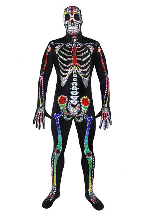 Anatomie Pinguin Skelett 22 Koleksi Gambar