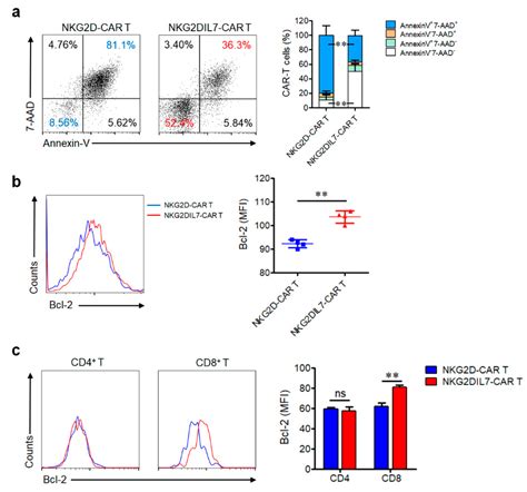 Cancers Free Full Text Co Expression Of Il 7 Improves Nkg2d Based