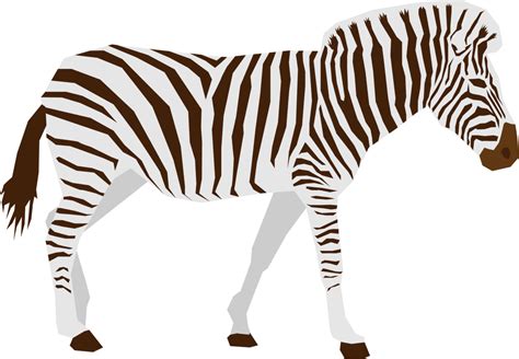 Zebra Animal Flat Vector Design Isolated 11107892 Png