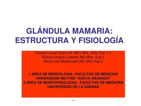 PPT GLÁNDULA MAMARIA ESTRUCTURA Y FISIOLOGÍA PowerPoint Presentation