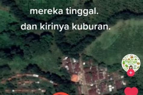 Lokasi Asli Tapak Tilas Kkn Di Desa Penari Ditemukan Warganet Telusuri