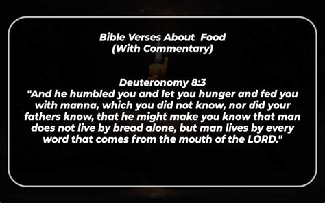 Bible Verses About Food With Commentary Spiritandscriptures