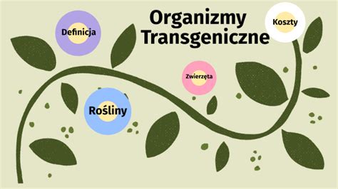 Organizmy Transgeniczne By Wojciech Mitoraj On Prezi