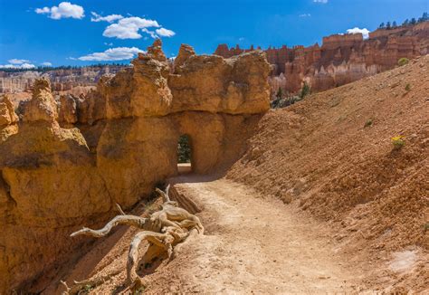 Hike Sunrise To Sunset At Bryce Canyon National Park