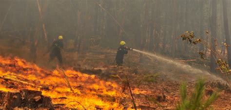 9 Incendios Se Mantienen Activos En La Araucanía Comuna De Galvarino