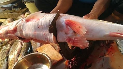 Rare Giant Big Ayer Fish Cutting Skills Live In Fish Market Fish