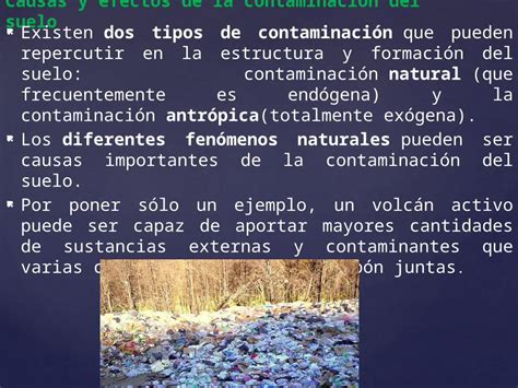 Pptx Causas Y Efectos De La Contaminación Del Suelo Dokumentips