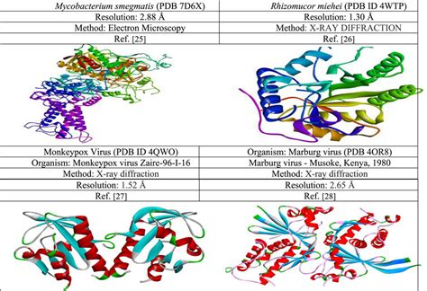 Frontiers Modified Coptisine Derivatives As An Inhibitor Against