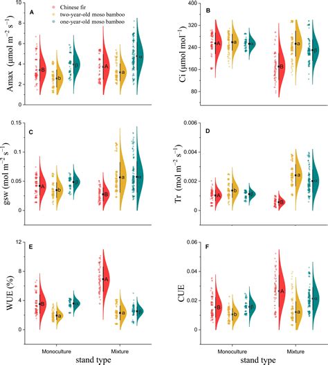 Frontiers Growing In Mixed Stands Increased Leaf Photosynthesis And