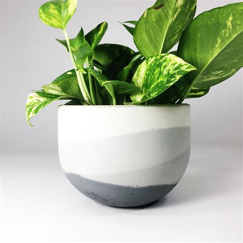 Concrete Bowl Planters — SETTLEWELL | Modern Planters and Home Goods