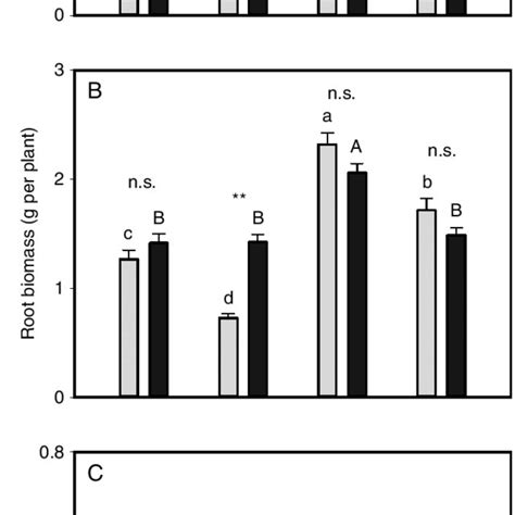 A Shoot Biomass B Root Biomass B And C Root Shoot Ratio Of Two Download Scientific