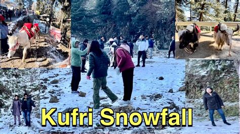 Shimla Kufri Snowfall Snowfall Update December