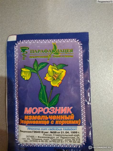 Морозник кавказский: описание, рецепты применения растения