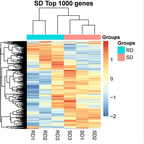 Rna Seq