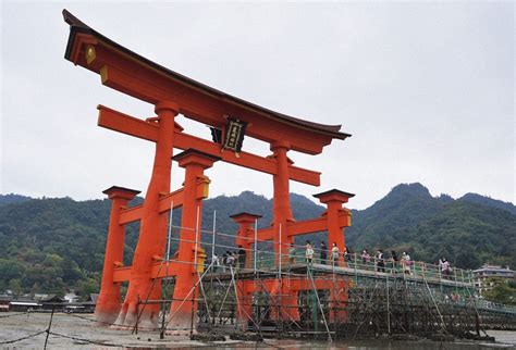 「大鳥居をいつもと違う目線で」 厳島神社で工事用通路を無料開放 写真特集14 毎日新聞