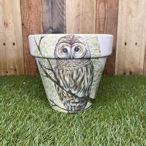 Decoupaged Owl Plant Pot Owl Gift Owl Flower Pot Terracotta Etsy Uk