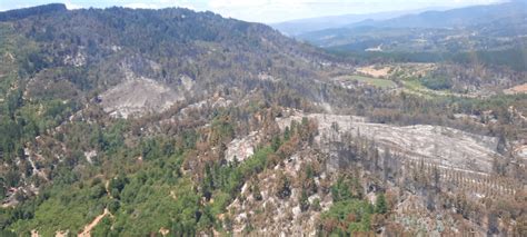 Gobierno Realiza Balance De Incendios Forestales Reportó Un 61 Menos