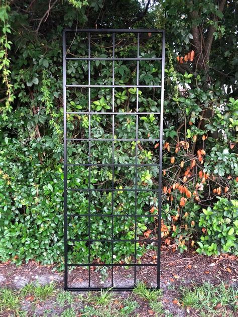 Large Multi Sizes Classic Metal Garden Outdoor Trellis Wall Mounted