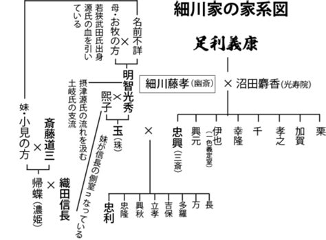 ガラシャの嫁ぎ先の細川家の家系図をみると清和源氏の流れを汲む血筋 美濃国岩村城の歴史と関連武将たち