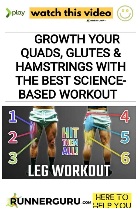 Growth Your Quads Glutes And Hamstrings With The Best Science Based