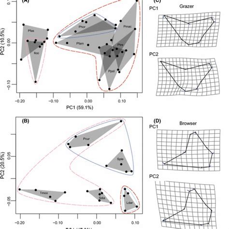 Landmarks For Geometric Morphometric Analysis Of Body Shape A Eight