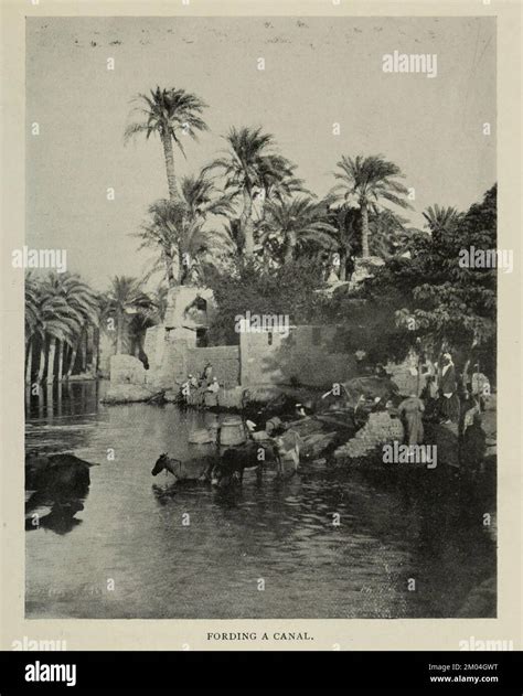 Ancient egyptian irrigation hi-res stock photography and images - Alamy