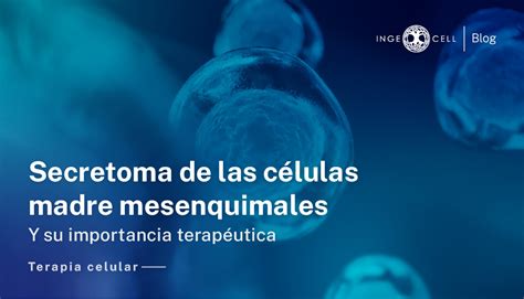 Secretoma de las células madre mesenquimales y su importancia