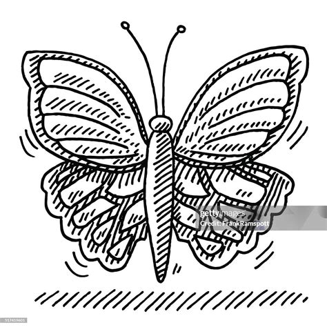 How To Draw A Butterfly Flying