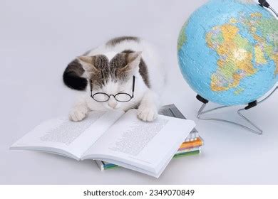 63 Modelos Enseñando La Vagina Royalty Free Images Stock Photos